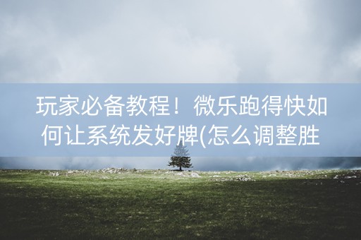玩家必备教程！微乐跑得快如何让系统发好牌(怎么调整胜率)