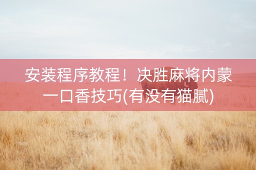 安装程序教程！决胜麻将内蒙一口香技巧(有没有猫腻)