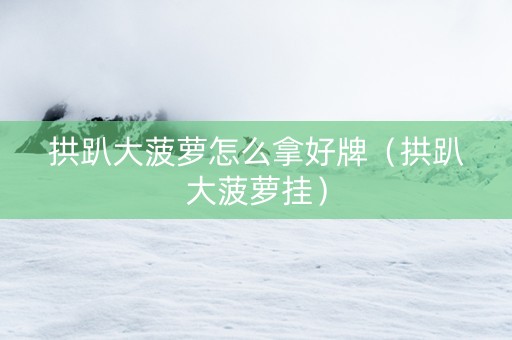 拱趴大菠萝怎么拿好牌（拱趴大菠萝挂）