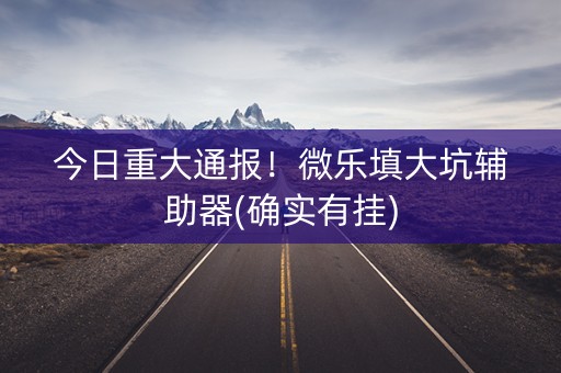 今日重大通报！微乐填大坑辅助器(确实有挂)
