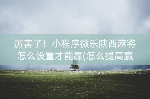 厉害了！小程序微乐陕西麻将怎么设置才能赢(怎么提高赢牌率)