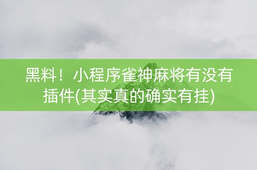 黑料！小程序雀神麻将有没有插件(其实真的确实有挂)