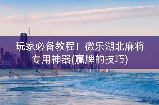 玩家必备教程！微乐湖北麻将专用神器(赢牌的技巧)