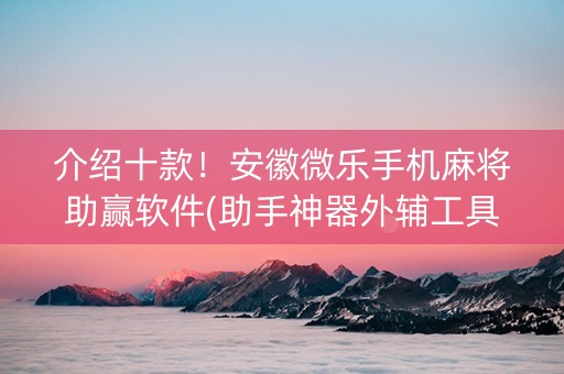 介绍十款！安徽微乐手机麻将助赢软件(助手神器外辅工具)