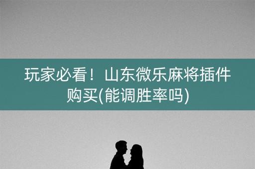 玩家必看！山东微乐麻将插件购买(能调胜率吗)