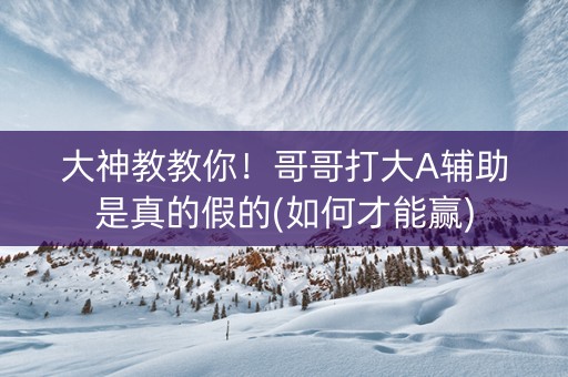 大神教教你！哥哥打大A辅助是真的假的(如何才能赢)