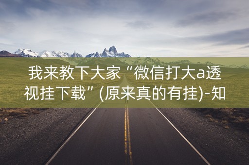 我来教下大家“微信打大a透视挂下载”(原来真的有挂)-知乎