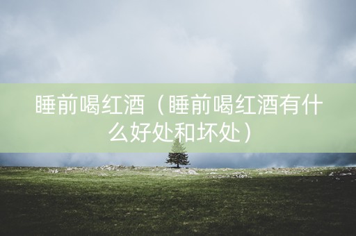 睡前喝红酒（睡前喝红酒有什么好处和坏处）