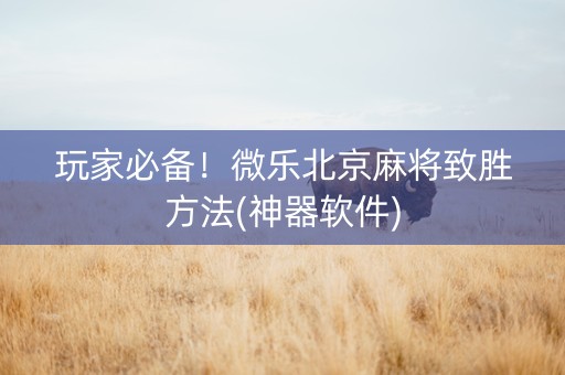 玩家必备！微乐北京麻将致胜方法(神器软件)