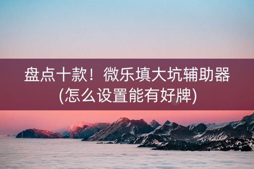 盘点十款！微乐填大坑辅助器(怎么设置能有好牌)