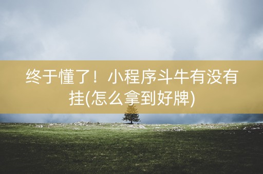终于懂了！小程序斗牛有没有挂(怎么拿到好牌)