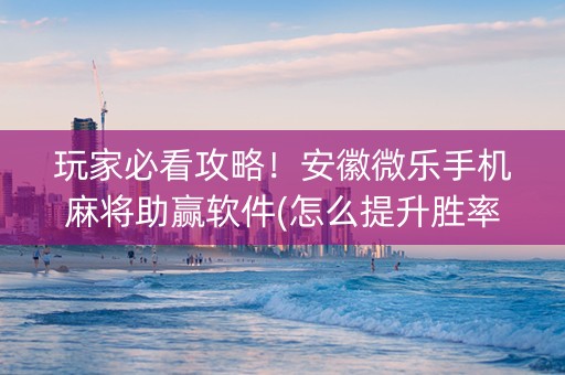 玩家必看攻略！安徽微乐手机麻将助赢软件(怎么提升胜率)