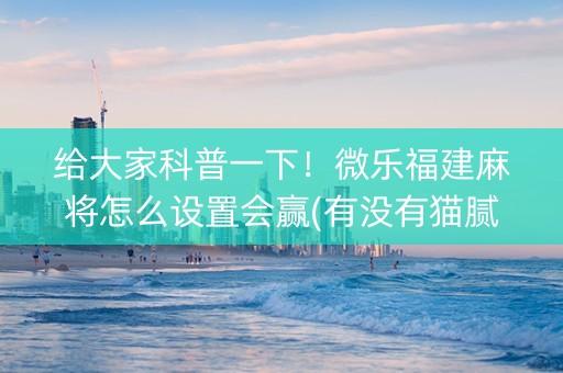 给大家科普一下！微乐福建麻将怎么设置会赢(有没有猫腻)