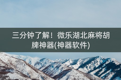 三分钟了解！微乐湖北麻将胡牌神器(神器软件)