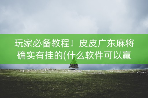 玩家必备教程！皮皮广东麻将确实有挂的(什么软件可以赢)