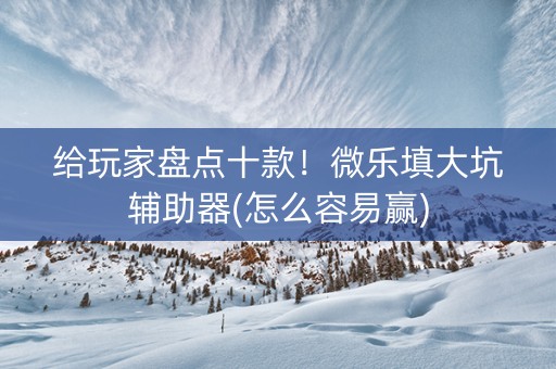 给玩家盘点十款！微乐填大坑辅助器(怎么容易赢)