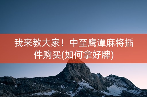 我来教大家！中至鹰潭麻将插件购买(如何拿好牌)