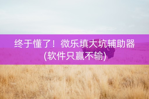 终于懂了！微乐填大坑辅助器(软件只赢不输)