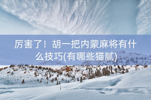 厉害了！胡一把内蒙麻将有什么技巧(有哪些猫腻)