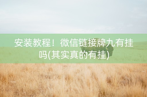 安装教程！微信链接牌九有挂吗(其实真的有挂)