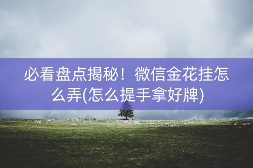 必看盘点揭秘！微信金花挂怎么弄(怎么提手拿好牌)