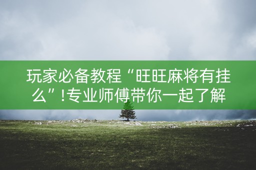 玩家必备教程“旺旺麻将有挂么”!专业师傅带你一起了解（详细教程）-知乎