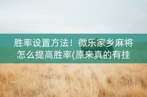 胜率设置方法！微乐家乡麻将怎么提高胜率(原来真的有挂)