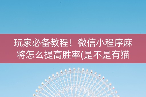 玩家必备教程！微信小程序麻将怎么提高胜率(是不是有猫腻)