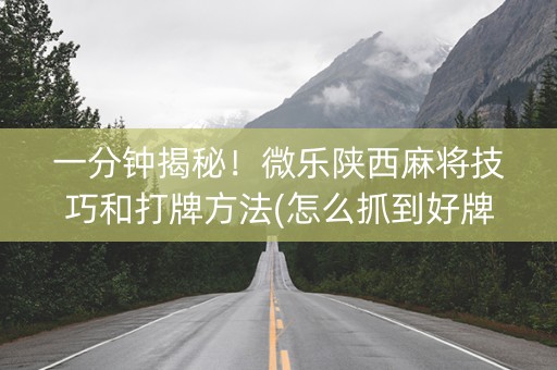 一分钟揭秘！微乐陕西麻将技巧和打牌方法(怎么抓到好牌)