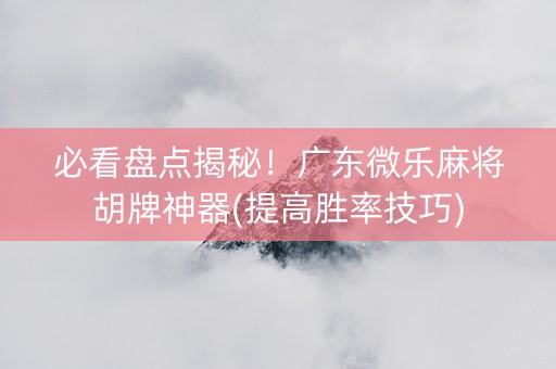 必看盘点揭秘！广东微乐麻将胡牌神器(提高胜率技巧)