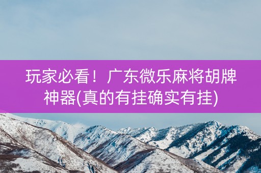 玩家必看！广东微乐麻将胡牌神器(真的有挂确实有挂)