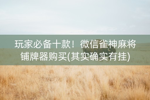 玩家必备十款！微信雀神麻将铺牌器购买(其实确实有挂)