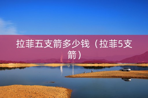 拉菲五支箭多少钱（拉菲5支箭）