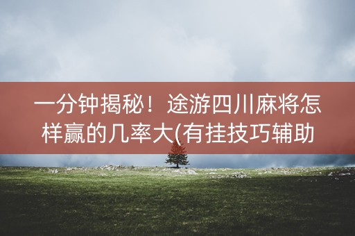一分钟揭秘！途游四川麻将怎样赢的几率大(有挂技巧辅助器)