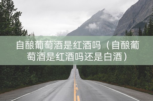 自酿葡萄酒是红酒吗（自酿葡萄酒是红酒吗还是白酒）
