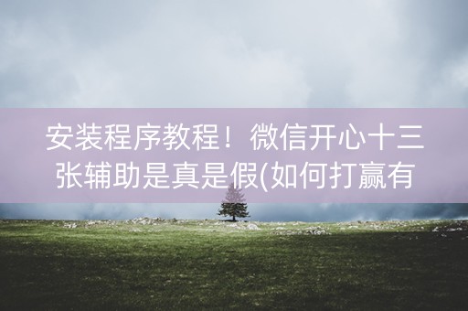 安装程序教程！微信开心十三张辅助是真是假(如何打赢有插件吗)