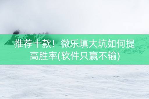 推荐十款！微乐填大坑如何提高胜率(软件只赢不输)