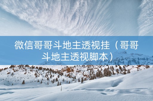 微信哥哥斗地主透视挂（哥哥斗地主透视脚本）