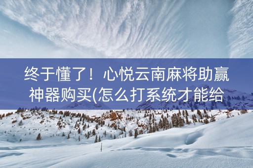 终于懂了！心悦云南麻将助赢神器购买(怎么打系统才能给好牌)