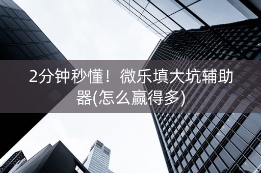 2分钟秒懂！微乐填大坑辅助器(怎么赢得多)