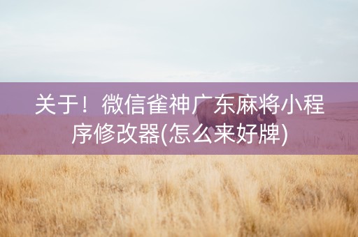 关于！微信雀神广东麻将小程序修改器(怎么来好牌)