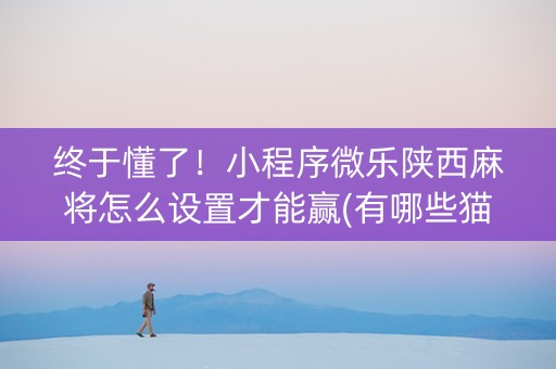 终于懂了！小程序微乐陕西麻将怎么设置才能赢(有哪些猫腻)