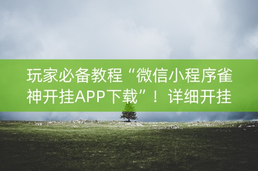 玩家必备教程“微信小程序雀神开挂APP下载”！详细开挂教程（确实真的有挂)-知乎