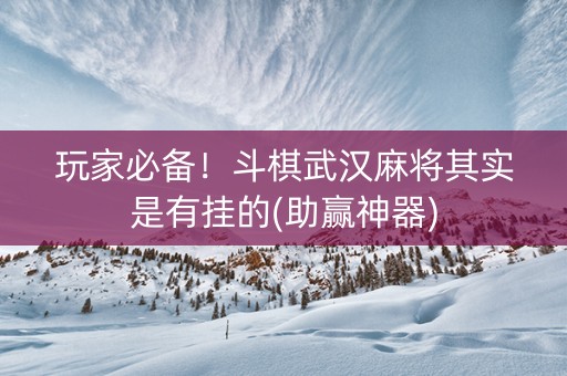玩家必备！斗棋武汉麻将其实是有挂的(助赢神器)