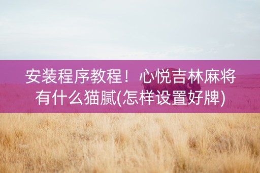 安装程序教程！心悦吉林麻将有什么猫腻(怎样设置好牌)