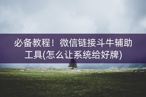 必备教程！微信链接斗牛辅助工具(怎么让系统给好牌)