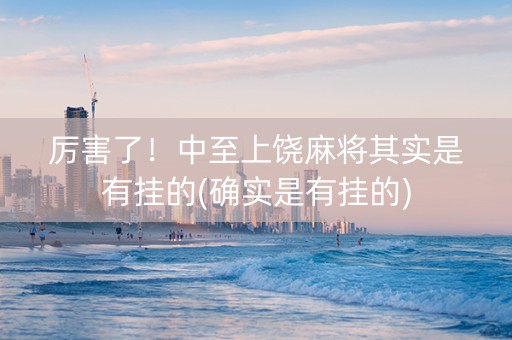 厉害了！中至上饶麻将其实是有挂的(确实是有挂的)