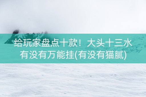 给玩家盘点十款！大头十三水有没有万能挂(有没有猫腻)