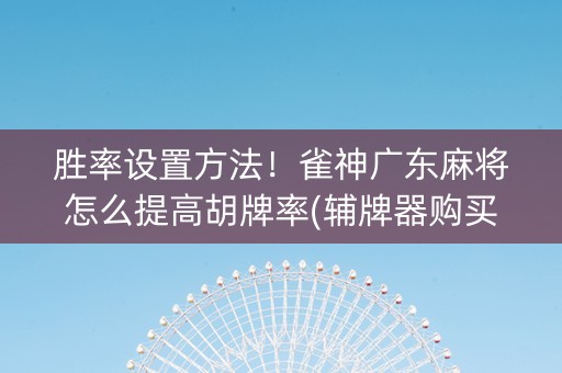 胜率设置方法！雀神广东麻将怎么提高胡牌率(辅牌器购买)