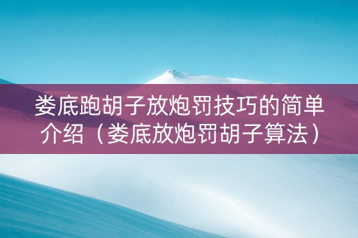 娄底跑胡子放炮罚技巧的简单介绍（娄底放炮罚胡子算法）